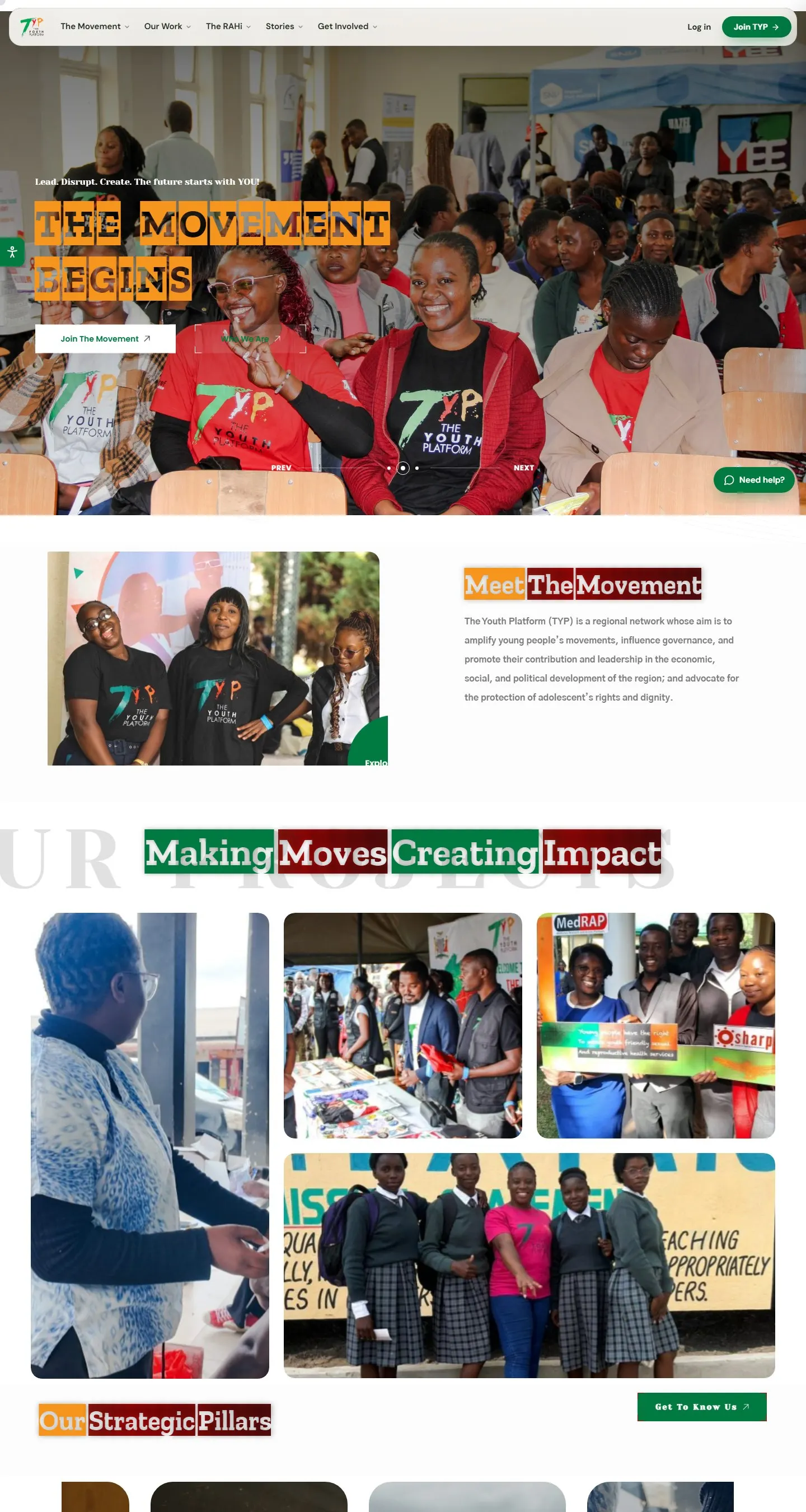 The Youth Platform website